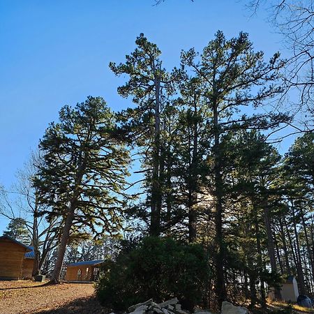 5 Min To Beaver Lake-King Bed-Fire Pit-Jetted Tub #3 ユリーカ・スプリングス エクステリア 写真